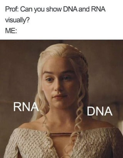 veda rna dna